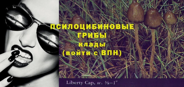 дмт Баксан