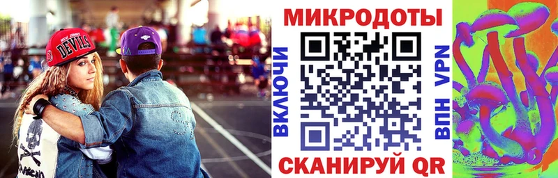 блэк спрут сайт продажа наркотиков Куртамыш Галлюциногенные грибы мухоморы